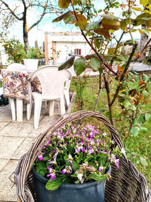 Il Giardino Delle Rose Βίλα Αβετζάνο Εξωτερικό φωτογραφία